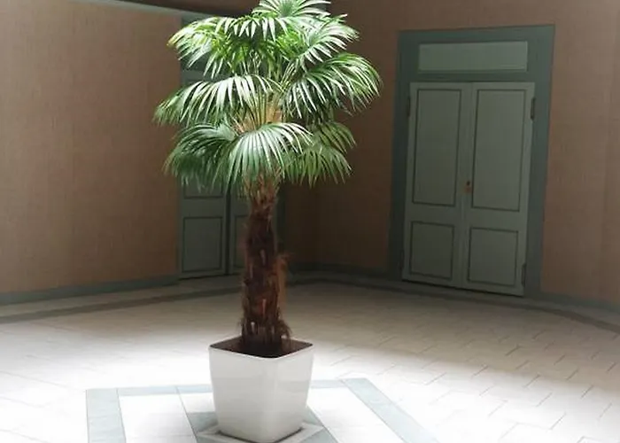 Calme Avec Terrasse - 2